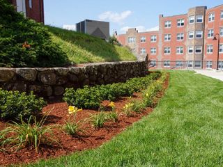 Bark Mulch Installation