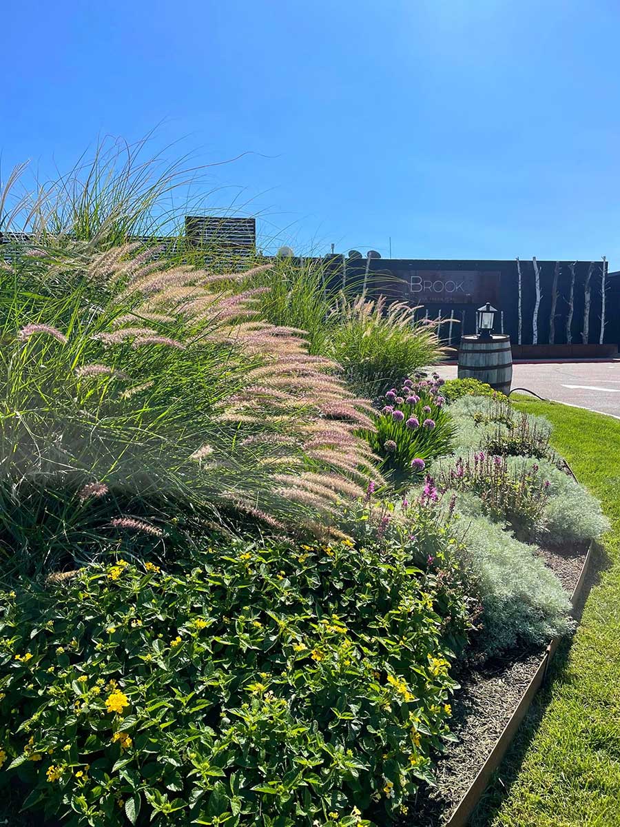 North Point Outdoors - The Brook Casino