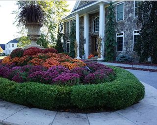 North Point Outdoors Planting Design and Gardens