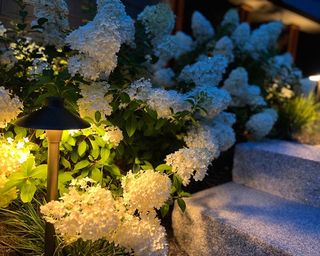 North Point Outdoors Accent and Feature Lighting