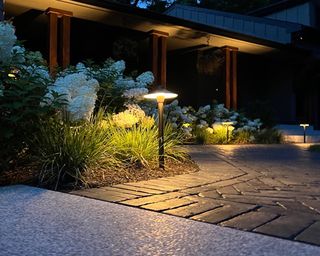 North Point Outdoors pathway and Step Lighting